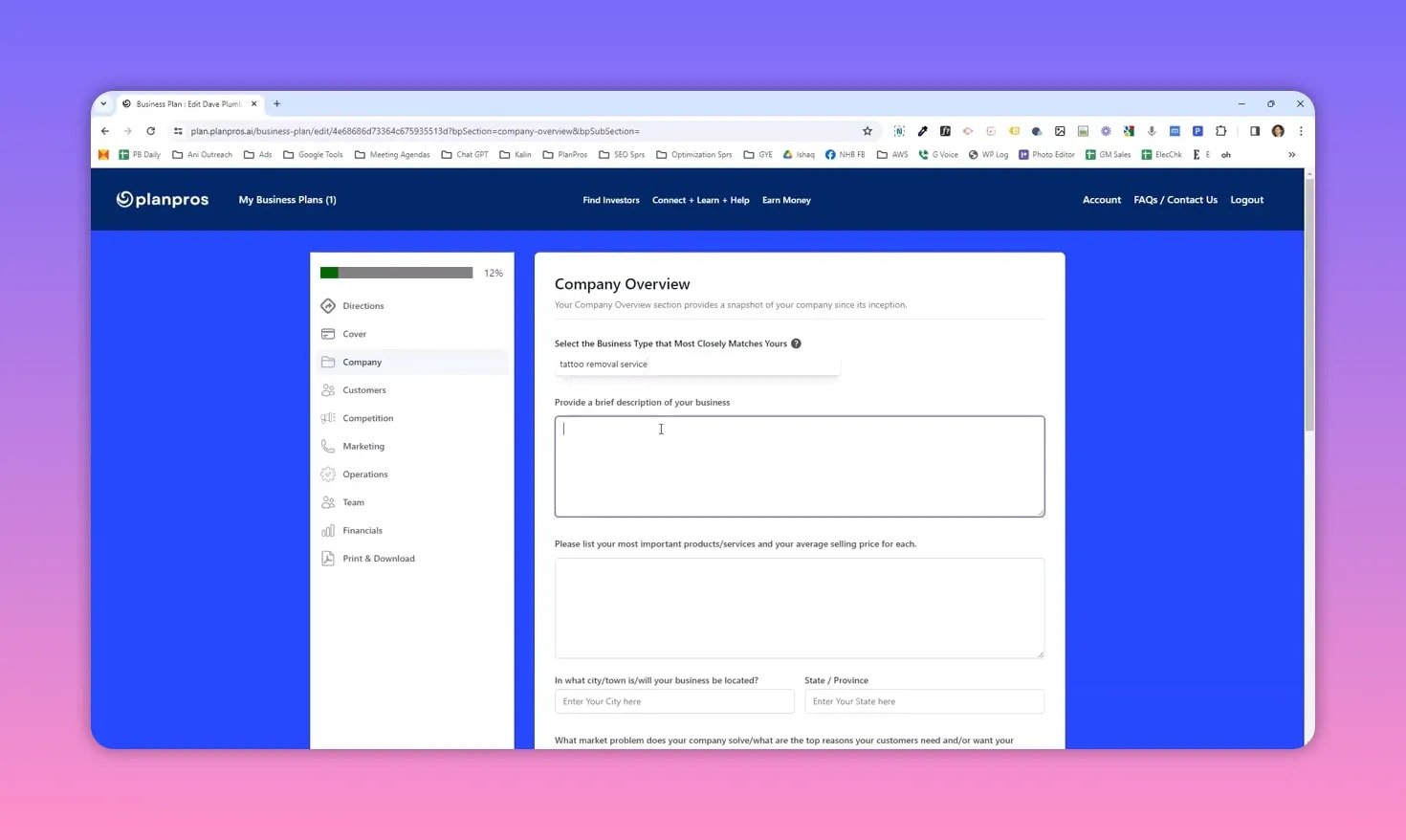 PlanPros.ai Company Overview with 'tattoo removal service' selected and the description field active