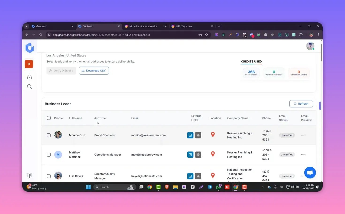 Geoleads dashboard Business Leads table showing names, job titles, emails, external links, locations, company names, phone numbers and email verification status.