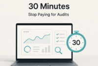 Stop Paying for SEO Audits: DIY Checks in 30 Minutes